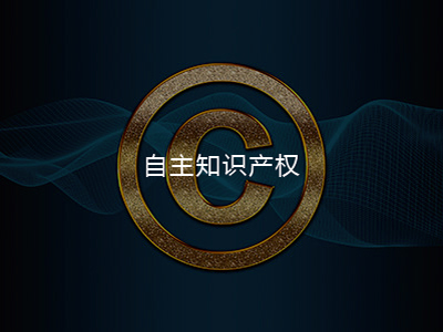 自主知識產(chǎn)權(quán)